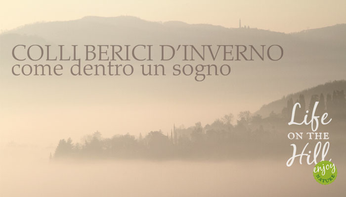 Colli Berici con la nebbia