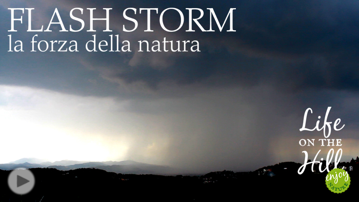 Flash storm a Perarolo sui Colli Berici