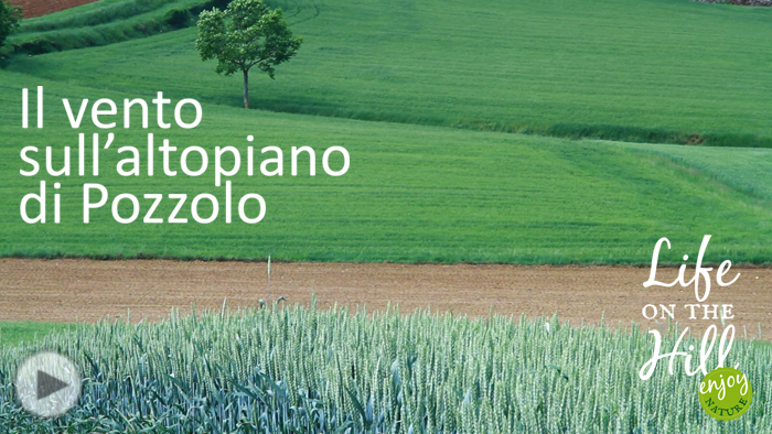 Il vento sull'altopiano di Pozzolo nei Colli Berici