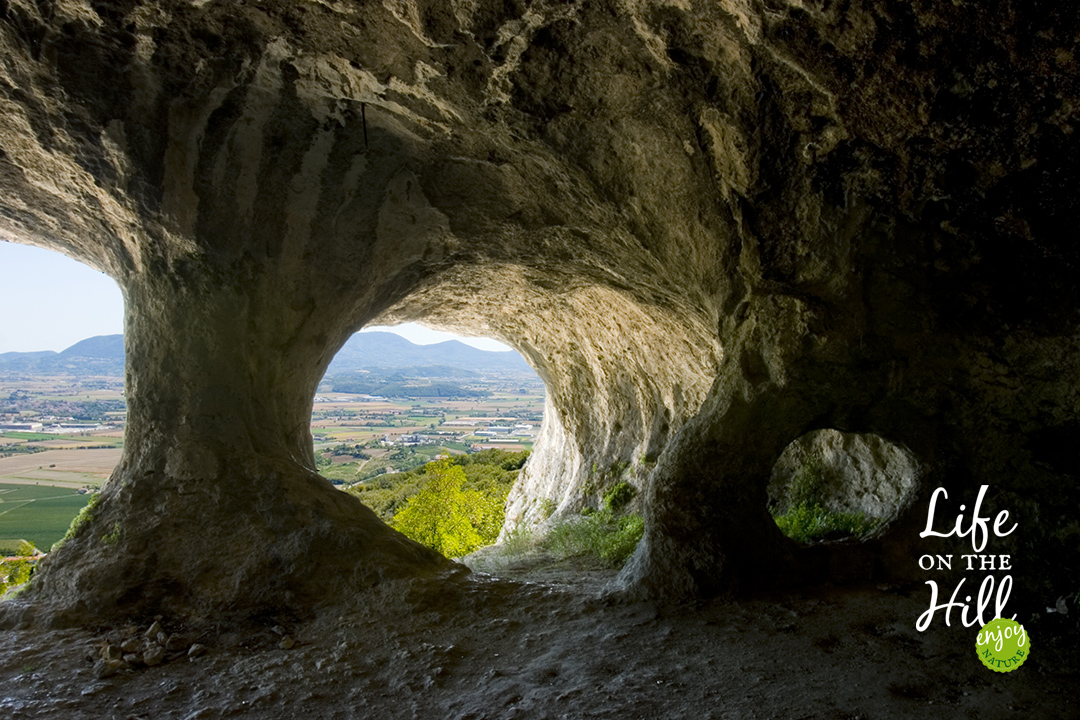 colli berici san donato