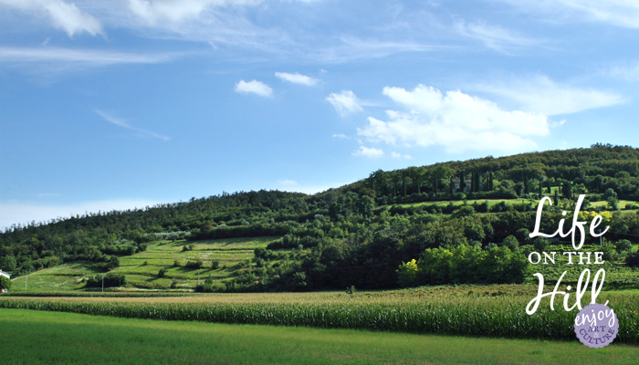 Amambiente Festival 2015 - interna - Colli Berici