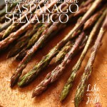 L'asparago selvatico - Colli Berici