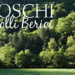 I boschi dei Colli Berici