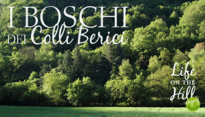 I boschi dei Colli Berici