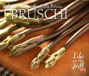 bruschi raccolti sui Colli Berici