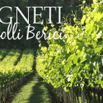 I vigneti dei Colli Berici