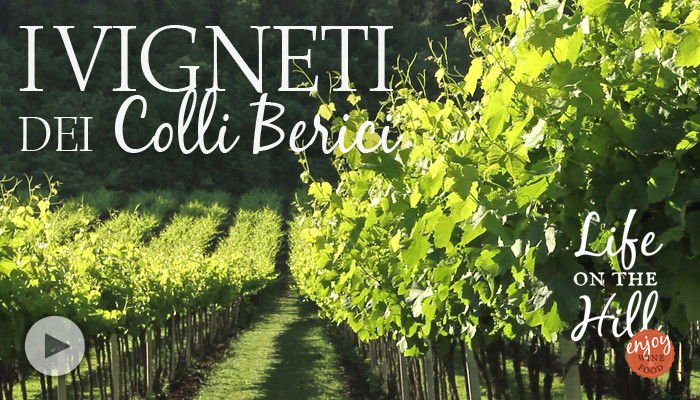 I vigneti dei Colli Berici