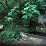 Fontana dell'Orco