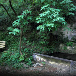 Fontana dell'Orco