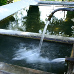 Fontana di San Vito