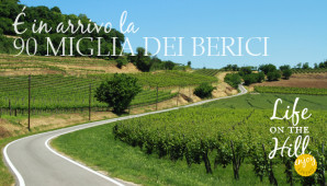 90 miglia dei Colli Berici