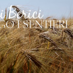 Sui sentieri dei Colli Berici di Alonte