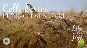 Sui sentieri dei Colli Berici di Alonte