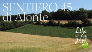 Sentiero 45 di Alonte Colli Berici