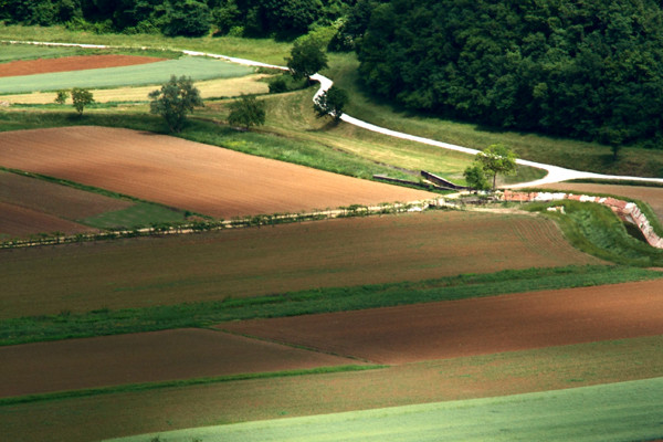 Valle di Fimon - Pezze Lunghe - Colli Berici