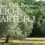 L'ulivo e il tartufo dei Colli Berici