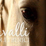 Cavalli e Colli Berici