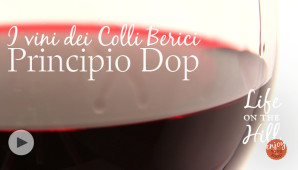 Principio Dop - Colli Berici