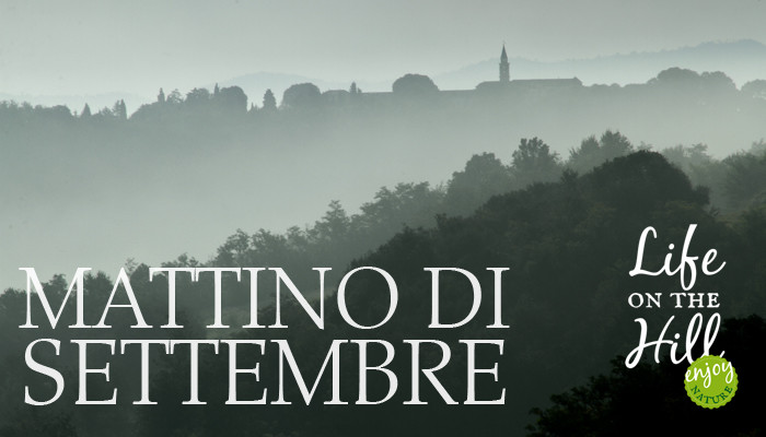 Colli Berici, mattino di settembre