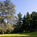 Parco di Villa Guiccioli - foto: Claudio Gioseffi