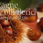 Castagne dei Colli Berici