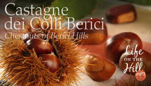 Castagne dei Colli Berici