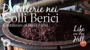 Distillerie nei Colli Berici