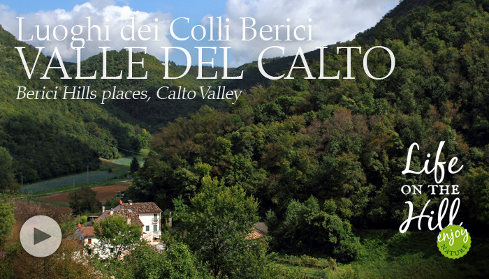 Valle del Calto - Colli Berici