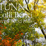 Autunno Pineta Brendola - Colli Berici