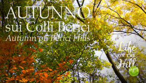 Autunno Pineta Brendola - Colli Berici