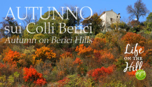 Autunno sui Colli Berici - Zovencedo