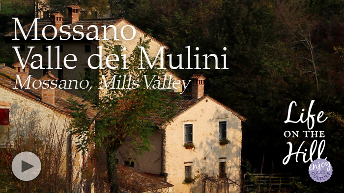 Mossano Valle dei Mulini, Colli Berici