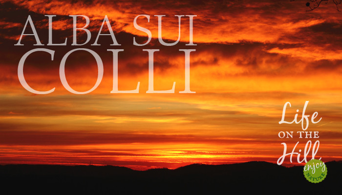 L'alba dalla dorsale dei Colli Berici