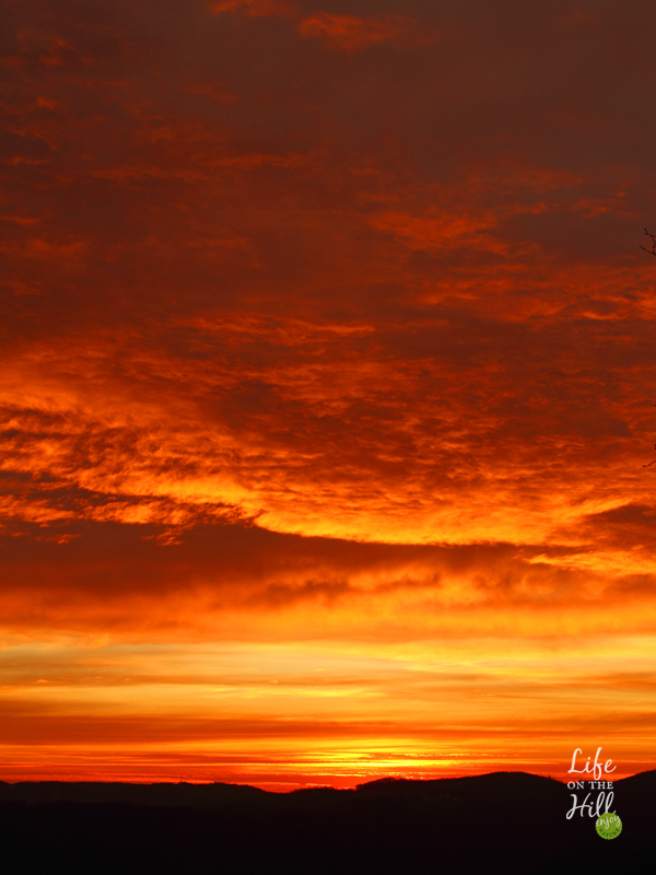 L'alba dalla dorsale dei Colli Berici