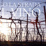 Lungo la strada del vino