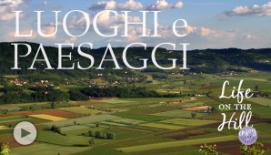 Luoghi e paesaggi dei Colli Berici