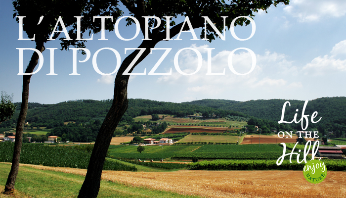 L'altopiano di Pozzolo - Colli Berici