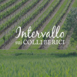 Intervallo sui Colli Berici