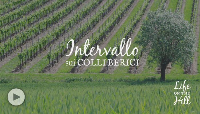 Intervallo sui Colli Berici