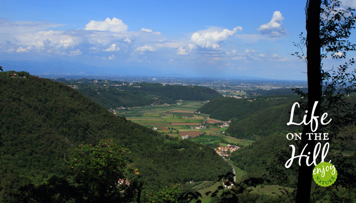 Sentiero 11 degli scaranti di Fimon - Antica ruota del mulino Casarotto