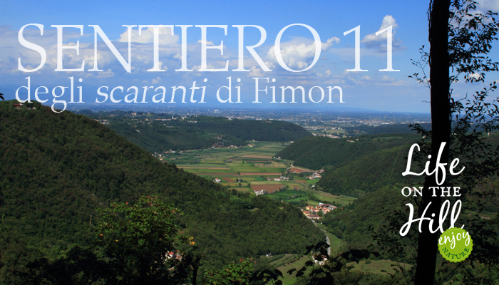 Sentiero 11 degli scaranti di Fimon - Colli Berici