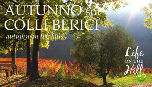 Autunno sui Colli Berici San Germano