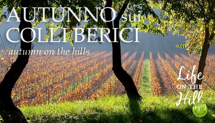 Autunno sui Colli Berici