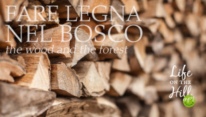 fare legna nel bosco