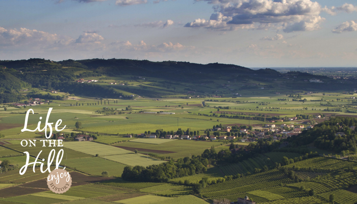 I monaci benedettini sui Colli Berici - palù di Brendola