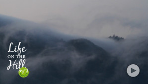 Il paese sopra le nuvole - Colli Berici