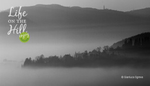Colli Berico come dentro un sogno
