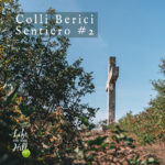 sentieri colli berici 2