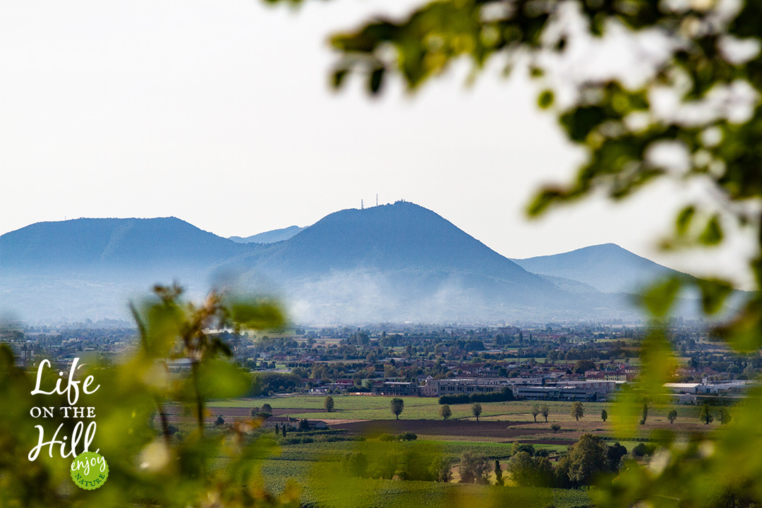 sentiero della croce colli berici