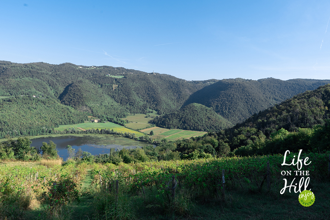 sentiero 15 colli berici